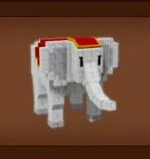 Carnival Elephant — Account account