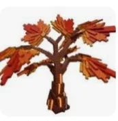 Maple resin — Account account