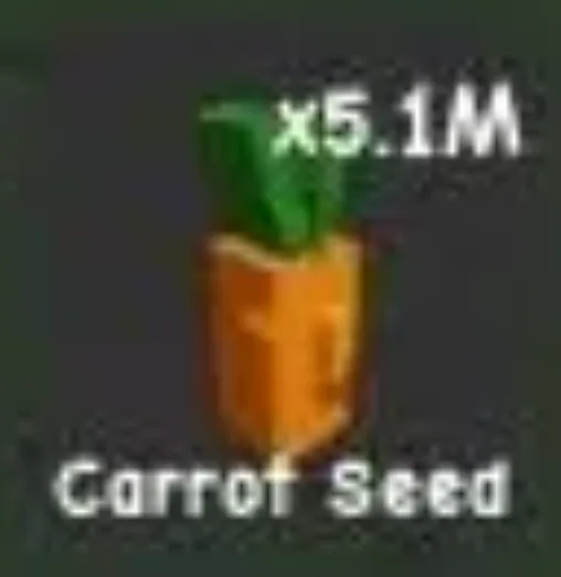Carrot Seed (Common)