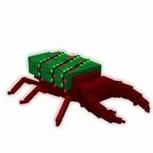 Pine Beetle — Account account