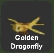 Golden Dragonfly — Account account