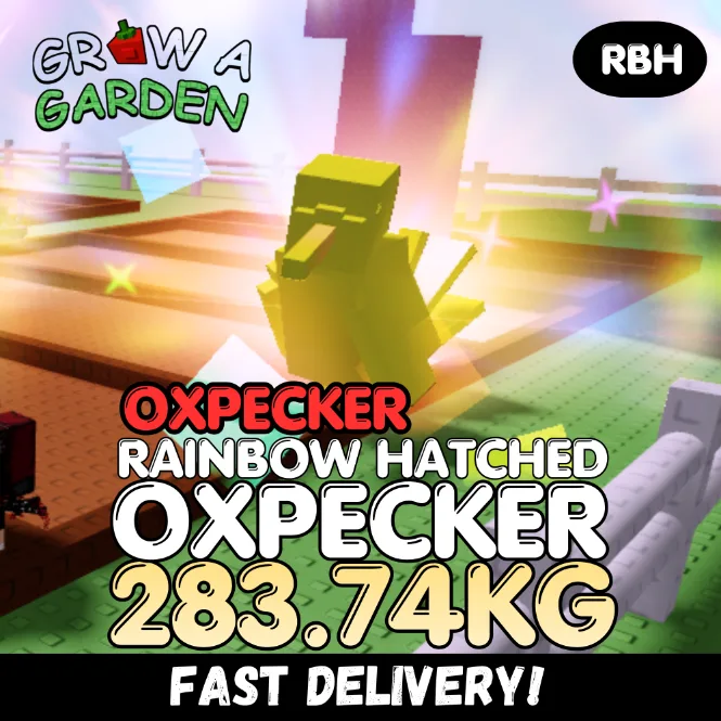 OXPECKER Rainbow Hatched Oxpecker 283.74KG RBH Age 500 INSTANT DELIVERY