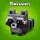 Raccoon (Super)
