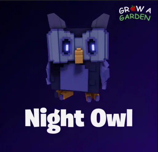 Night owl — Account account