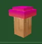 Maple Mushroom Seed