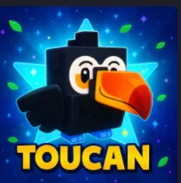 Toucan — Account account