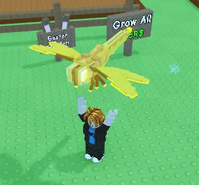 Dragonfly — Account account
