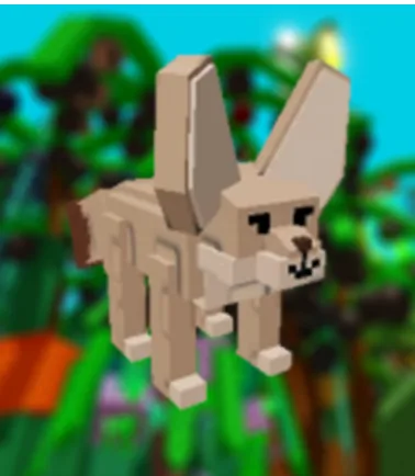 Fennec Fox — Account account