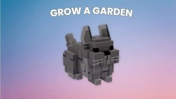 CHINCHILLA NEWEST DIVINE PET GROW A GARDEN INSTANT FAST DELIVERY — Account account