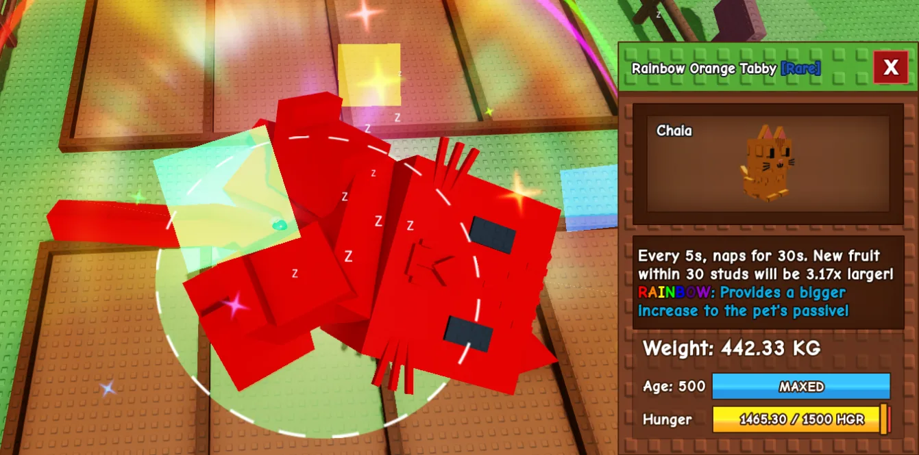 442.33kg Godly Rainbow Orange Tabby