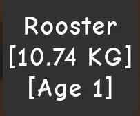 COLOSSAL TITANIC ROOSTER AGE 1 10.74KG — Account account