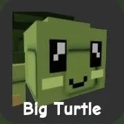 Turtle (Rare)