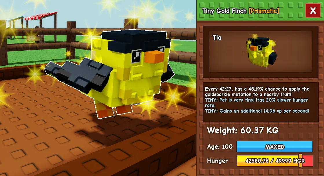 60kg+ Tiny Gold Finch Cute Farming — Account account