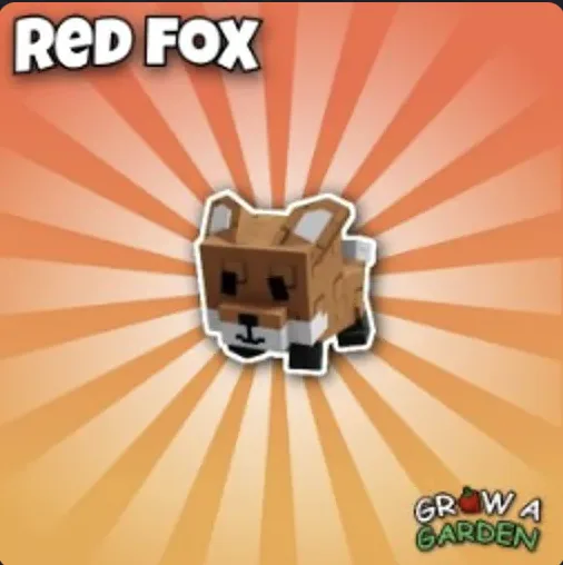 Red Fox — Account account