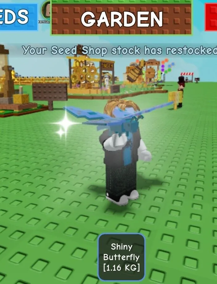 Shiny butterfly cheapest price instant delivery