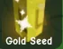 Gold Seed — Account account