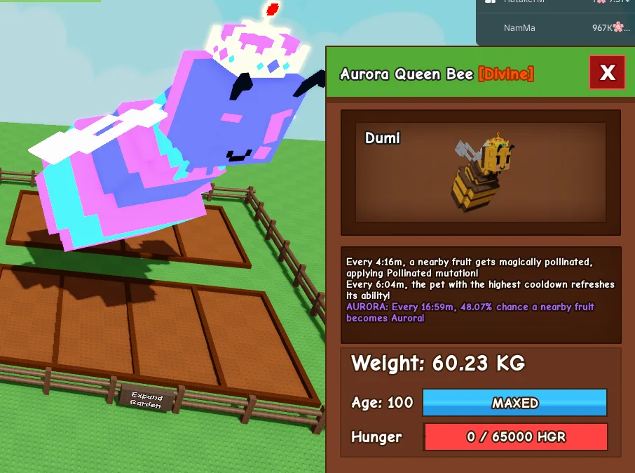 61.35kg Age 100 Aurora Queen Bee