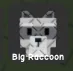 Raccoon (Super)