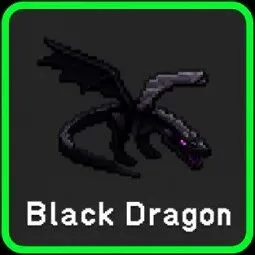 Black Dragon
