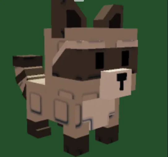 Raccoon