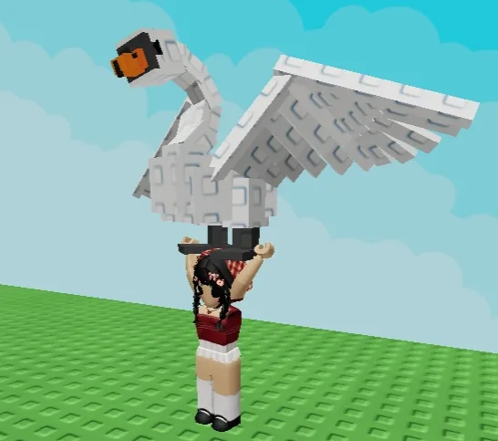 SWAN Fast