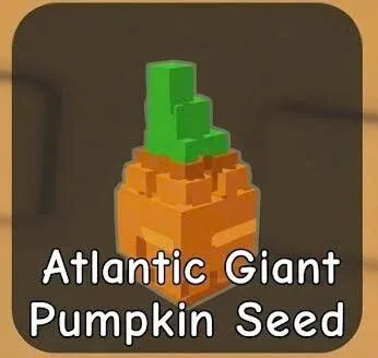 Atlantic Giant Pumpkin Seed (Super)