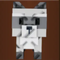 Raccoon (Super)