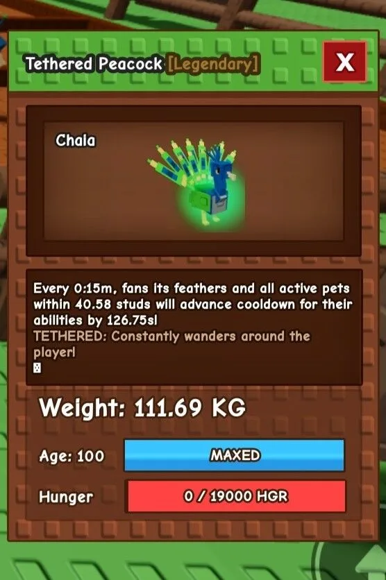 Tethered Collosal Peacock 111.69KG. Age 100 Fast Delivery