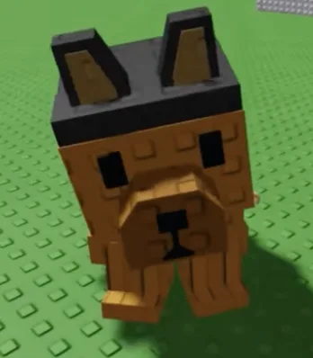 German Shepherd