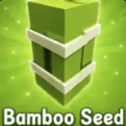 Bamboo Seed