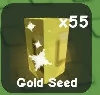 gold seed — Account account