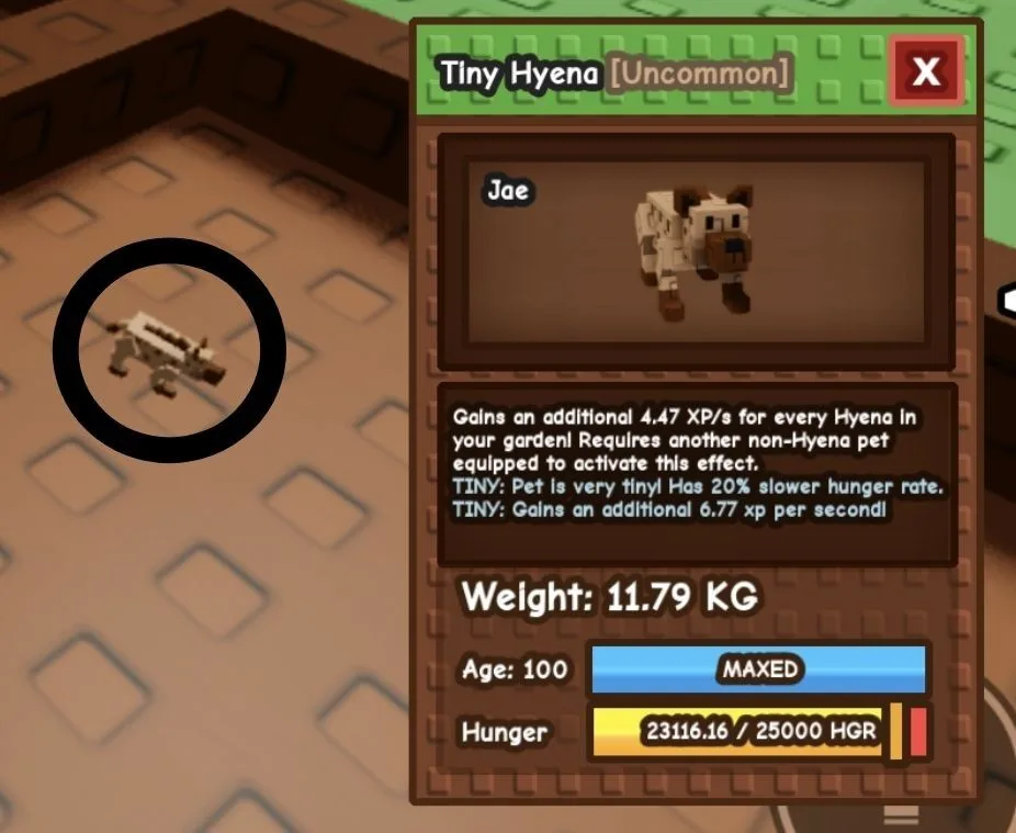 TINY Hyena - 11.79 KG (Age 100) — Account account