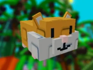 Hamster Pet Instant Delivery