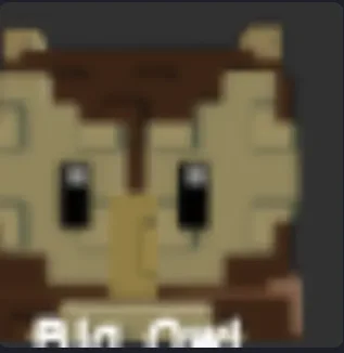 Owl (Common) — Account account