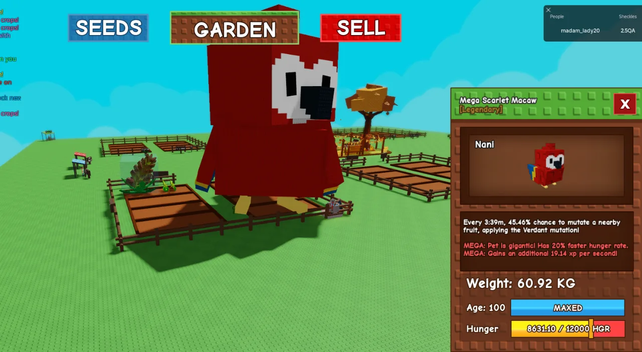 TITANIC HUGE GIANT MEGA SCARLET MACAW (MEGA MUTATION) 60+KG 100AGE // CLEAN // CHEAP