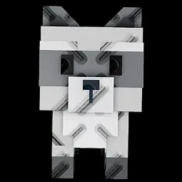 Raccoon — Account account
