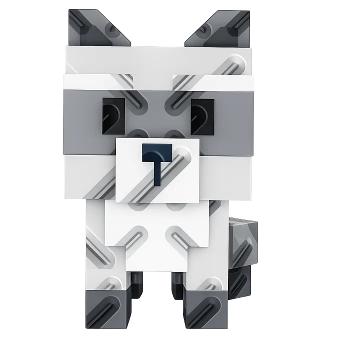 Raccoon