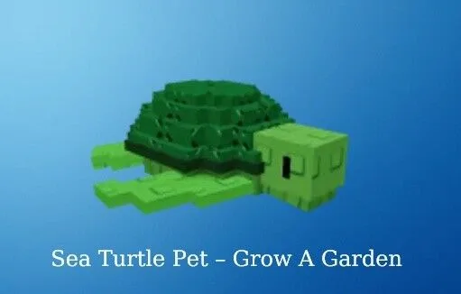 Sea Turtle