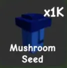 Mushroom Seed — Account account