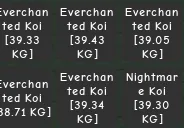 Sell Huge Koi 38KG to 39KG