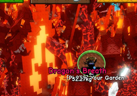 Dragon's Breath 69+ kg cheapest !!! (Super)