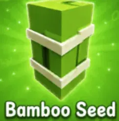 Bamboo Seed — Account account