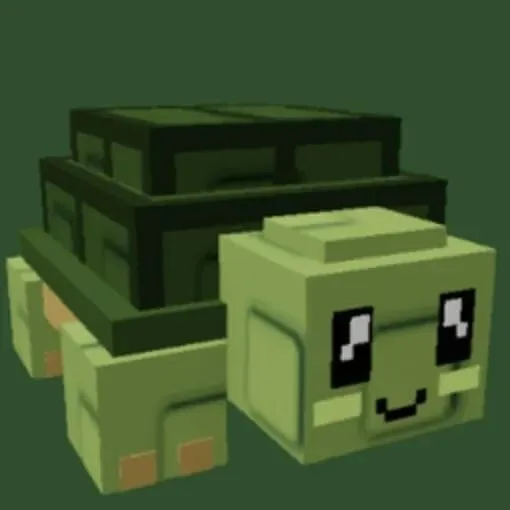 Turtle (Rare) — Account account