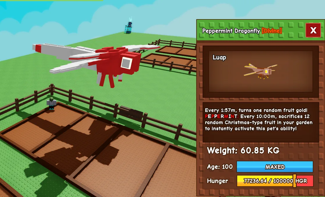 60kg+ Peppermint Dragonfly — Account account