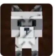 Raccoon (Super)