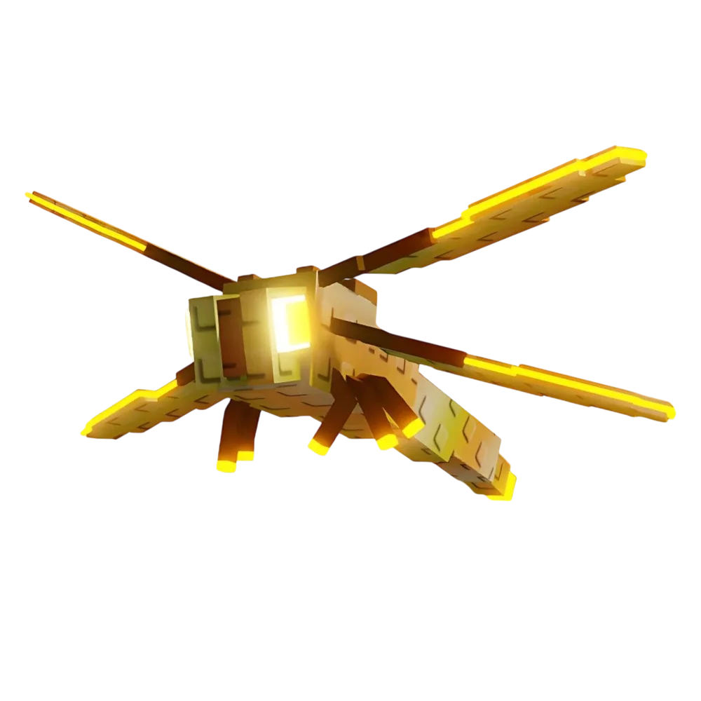 DragonFly — Account account