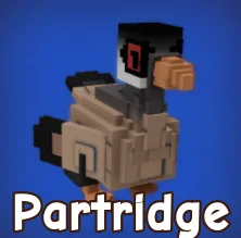 Partridge Fast Delivery