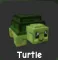 Turtle (Rare)