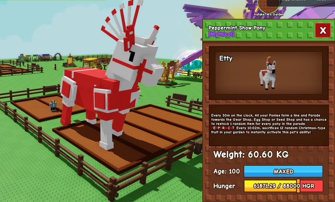 60kg+ Peppermint Show Pony