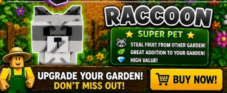 Raccoon (Super)
